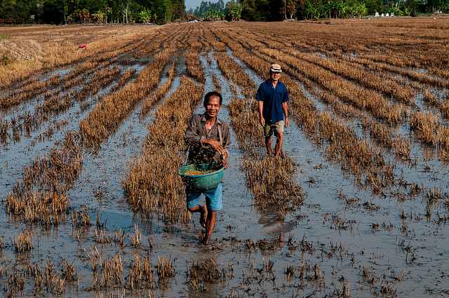 CARIAA focuses on three climate change hot spots, including delta regions such as the Mekong. G. Smith (CIAT) G. Smith (CIAT)